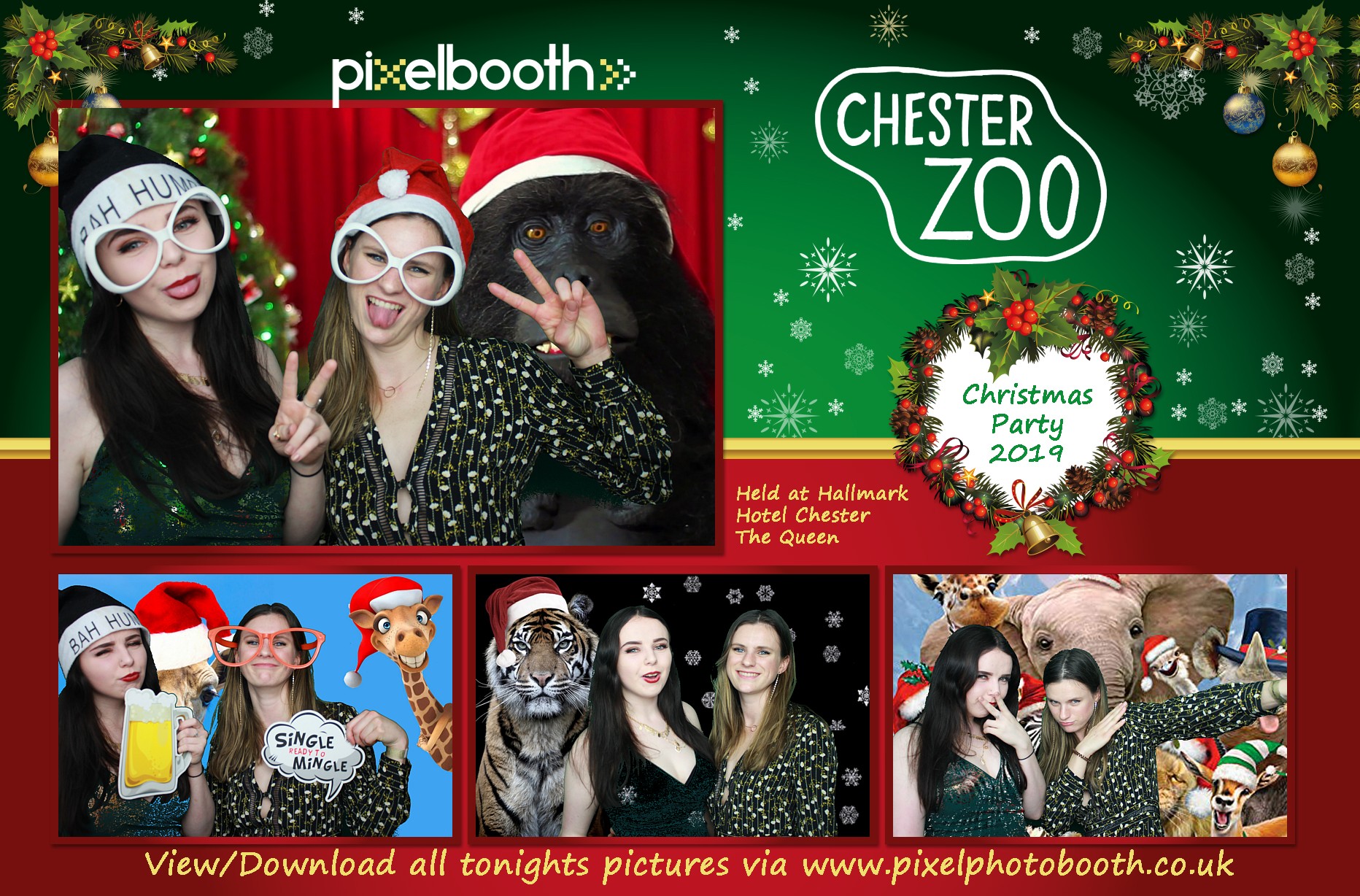 28th Nov 2019: Chester Zoo Christmas Party